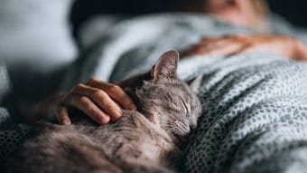 認知症になった人は睡眠時の"目の動き"が違う…60歳超健常者の12年後の追跡調査で判明｢脳と睡眠の血流関係｣