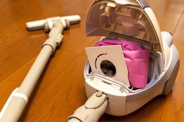 なぜ日本人は｢ダイソンの掃除機｣に飛びついたのか…｢デザインがいいだけ 