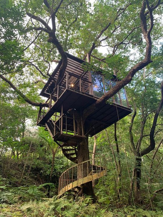 スパイラルツリーハウスには2人まで宿泊可能だ