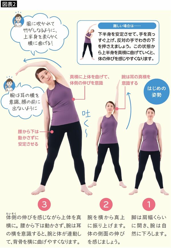 【図表2】手を使って体を真横に伸ばすことで、効率よく背骨を伸ばすことができる