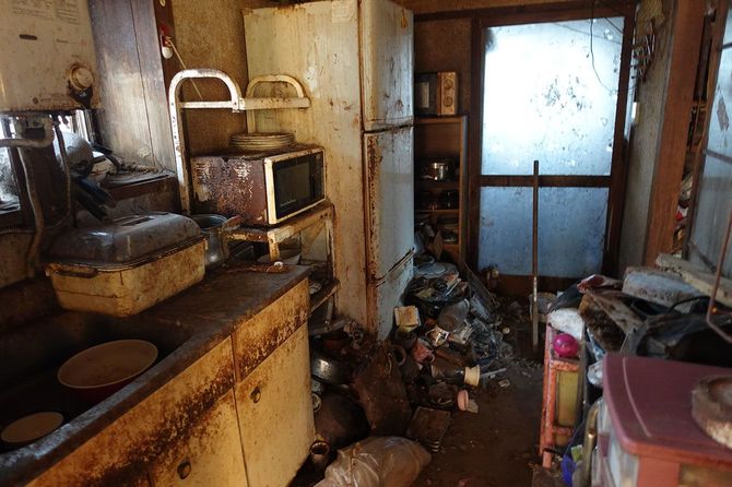 多頭飼いされていた平屋の台所。