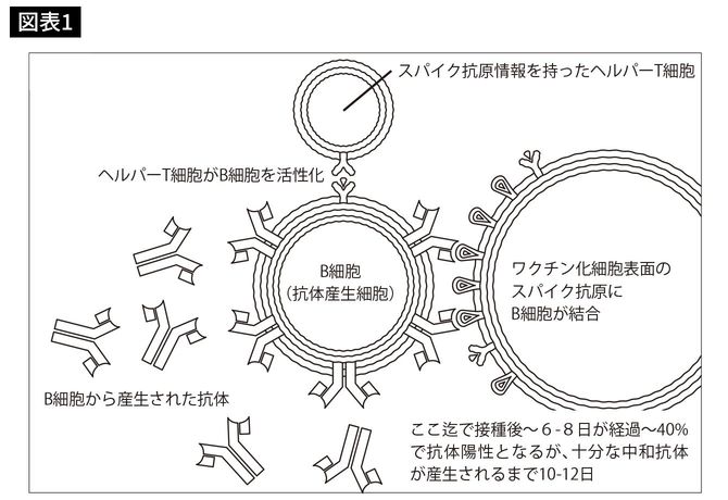 出所＝『それでも闘いは続く コロナ医療最前線の700日』
