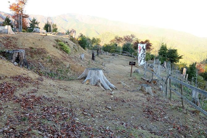 主郭の東に付随する帯曲輪。その右側は崖