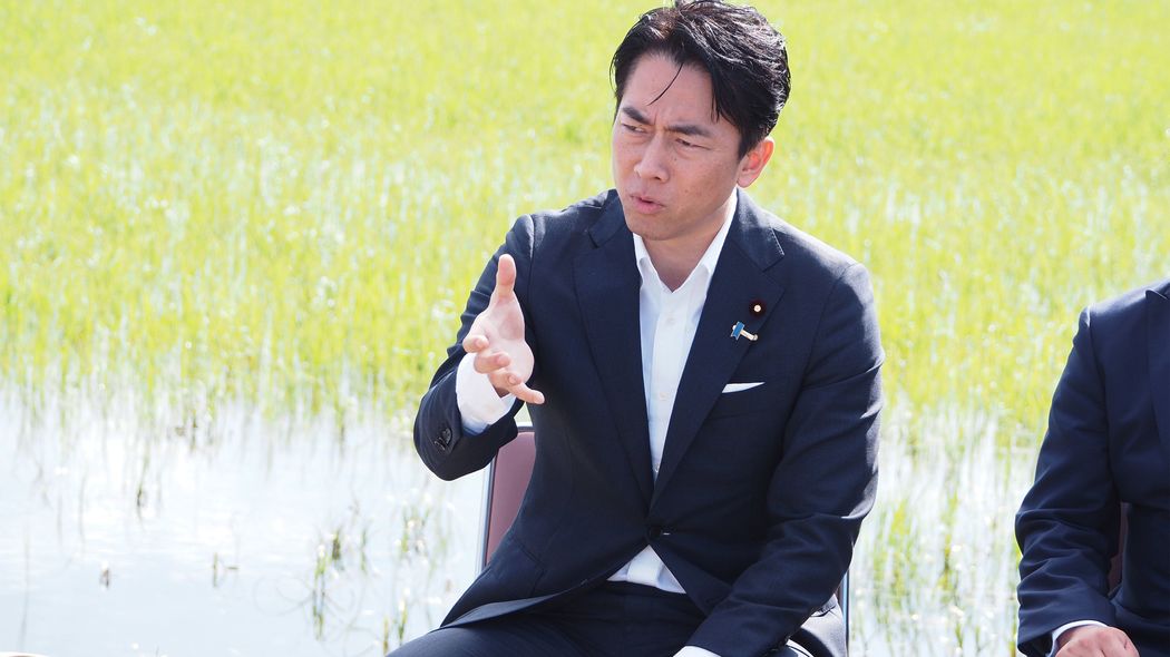 そりゃコメが安く買えるようにならないワケだ…｢日本の農業消滅｣を回避するために必要な"農政の改革" 今こそ見直したい｢日本の伝統的な知恵｣