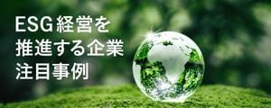 Synesgy企業紹介ページ