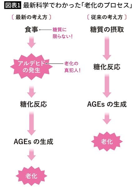 【図表1】最新科学でわかった「老化のプロセス」