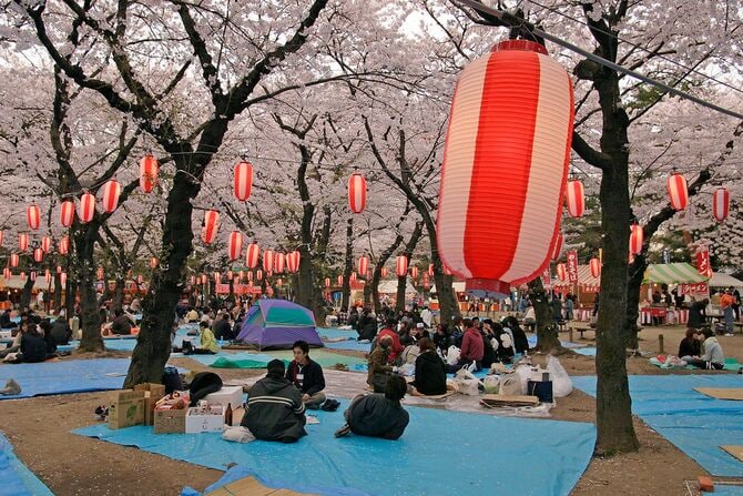 花見