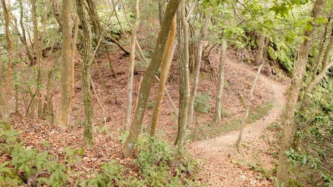 南側からの侵入を防ぐ大堀切