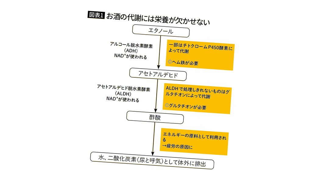 "やせの大酒飲み"は危険すぎる…医師｢お酒で人が太る"糖質でもカロリーでもない"意外な理由｣