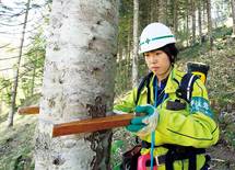 山の職人とともに生きる、女性現場監督