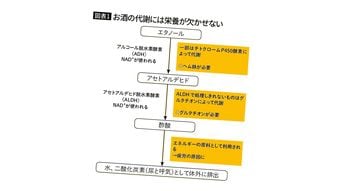 "やせの大酒飲み"は危険すぎる…医師｢お酒で人が太る"糖質でもカロリーでもない"意外な理由｣