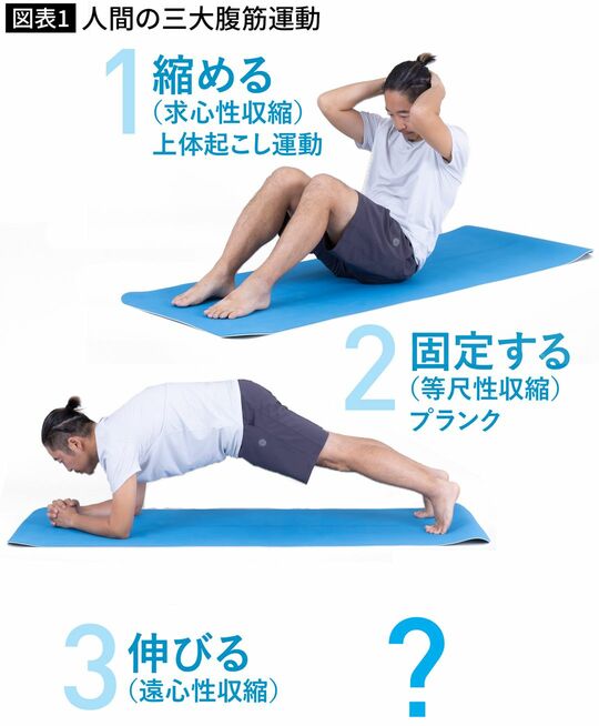 【図表】人間の三大腹筋運動