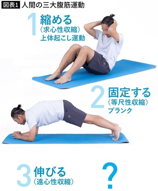 【図表】人間の三大腹筋運動