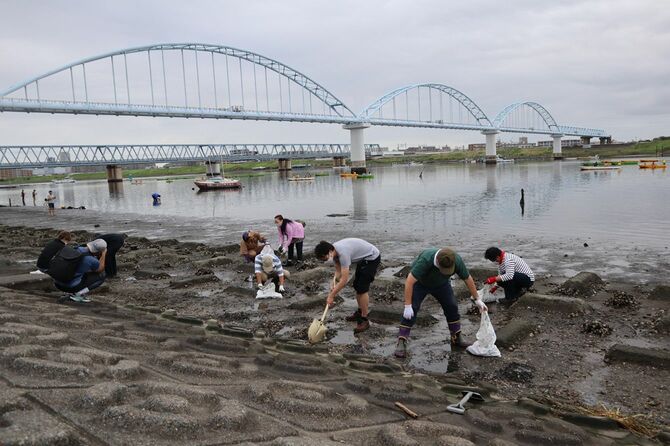 8月7日朝、江戸川の河畔でカキ殻を除去するさまざまな人たち。