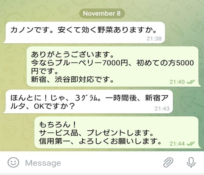 【写真1】テレグラムのチャット画面