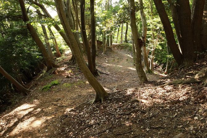 9逆L字の土塁の先に食違い虎口