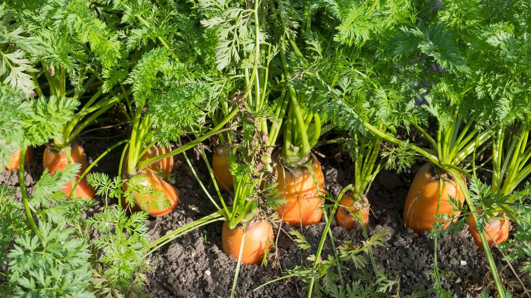 ｢お金のため｣だけではなくなった…IT企業の執行役員が｢9つの副業｣を続けている理由 ｢幸せな人生｣のために必要なこと