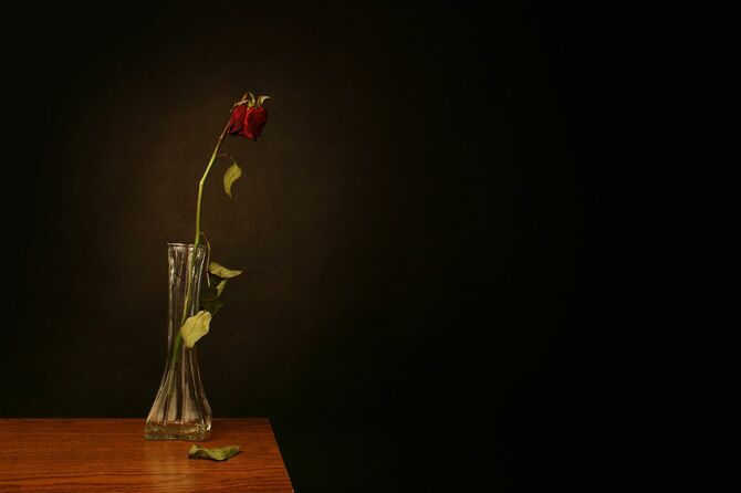 花瓶にささる枯れた花
