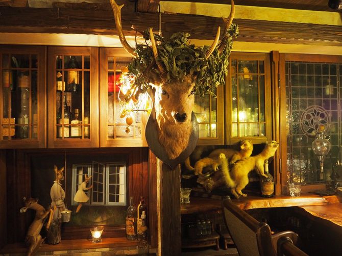 店内には剝製が