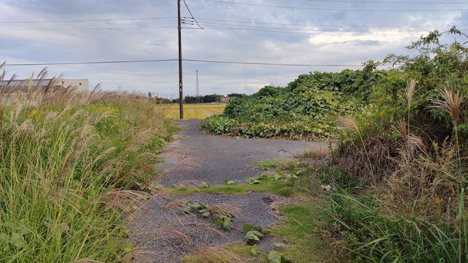 別荘地名目で販売された九十九里平野の分譲地。家屋は1戸もない。(千葉県横芝光町屋形)
