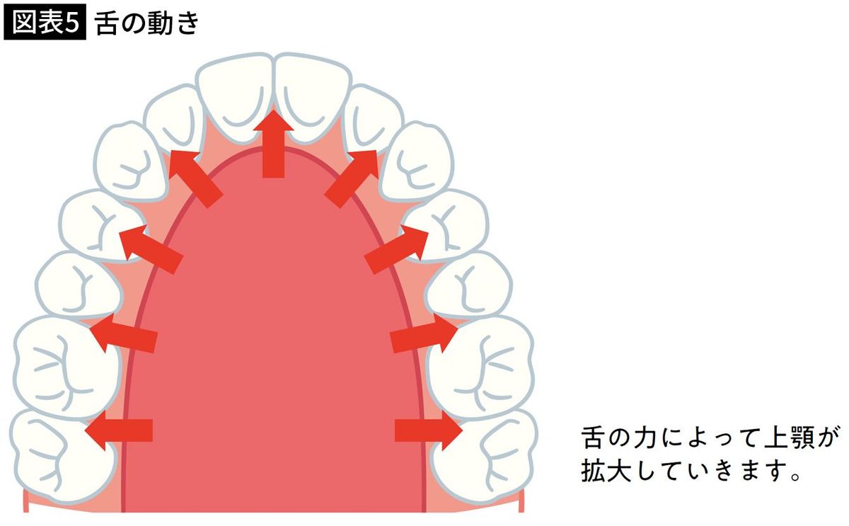 【図表5】舌の動き