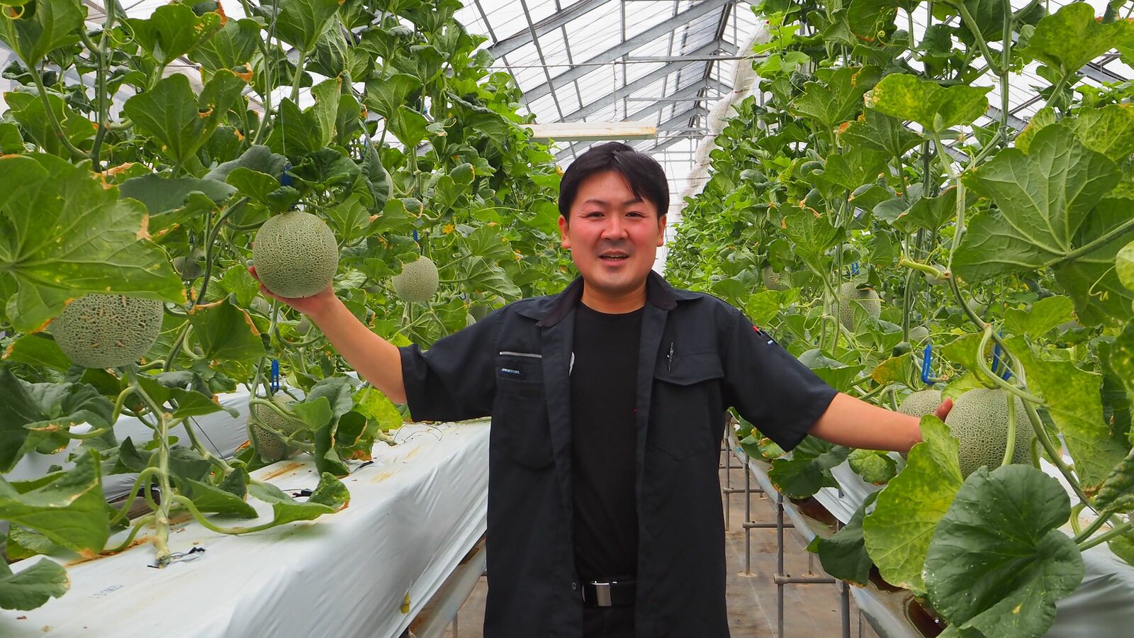 日本一のメロンバウムは｢規格外の土｣から生まれた…茨城の“農家カフェ”に行列ができる納得の理由 品評会で次々と受賞する6代目農家の手腕