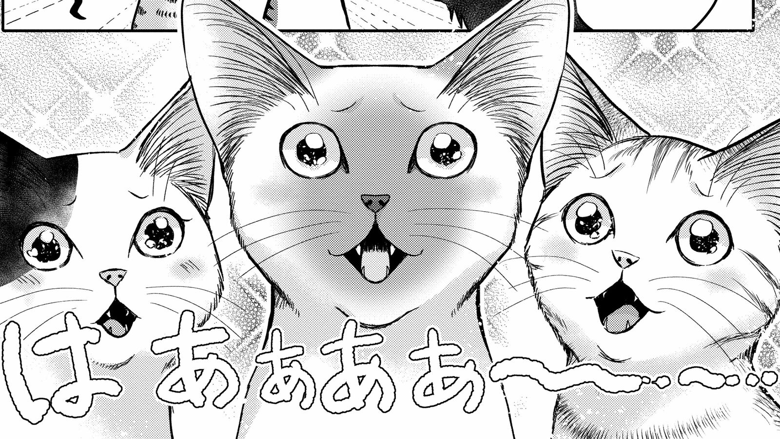 ごちそうをいただくために…猫は｢声を出さないニャーオ｣で人間をとろけさせる――『猫語の教科書』第5話 ｢コミック『猫語の教科書』｣