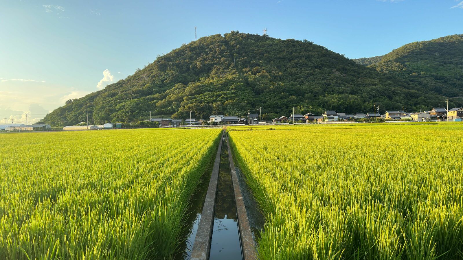 地方移住者が後で天を仰ぐことになる"判断ミス"…医療水準 収入 子供学歴｢全低下｣回避法を"移住10年"が指南 都道府県別･大学進学率1位73.0%､47位46.3%の大差