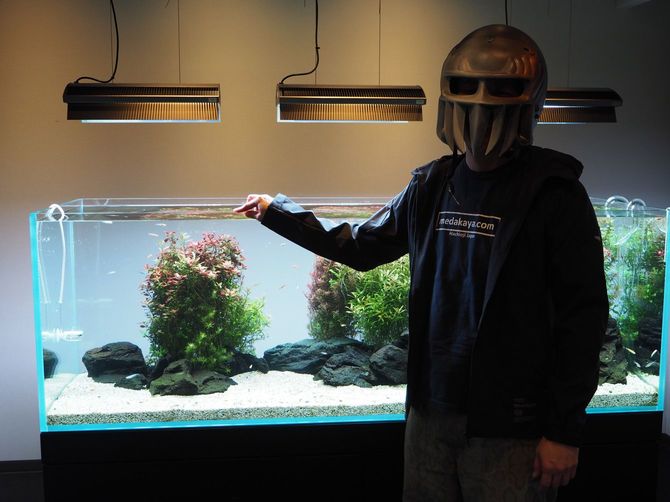 シングルCD『めだか達への伝言』を発売。