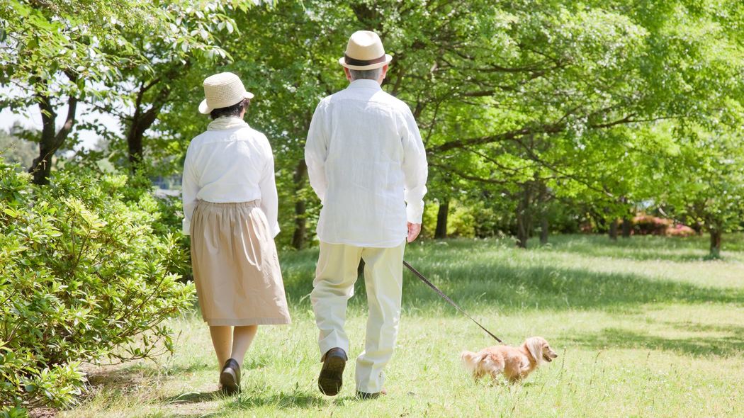 ウォーキングだけでは｢ヨボヨボ老人｣になる…｢寝たきり老後｣を回避する"自宅でできる"3つの運動【2025年6月BEST】 ｢1日8000歩｣を欠かさず続けても寝たきりリスクは減らせない