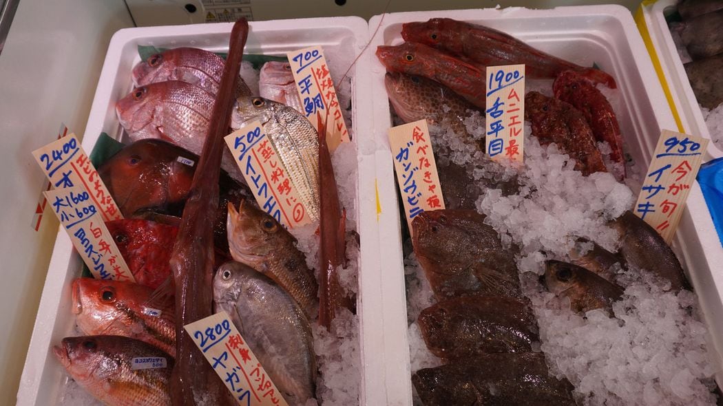 日本で食べられる魚介類は500種以上あるのに…スーパーでは見かけない｢おいしくてお得｣な魚を入手する方法 調理の仕方さえ知れば｢魚を食卓に｣はもっと簡単になる