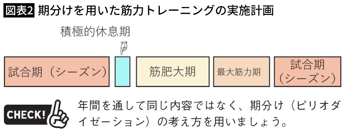 【図表2】期分けを用いた筋力トレーニングの実施計画