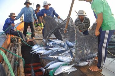 これが｢現代の奴隷制｣である…海外メディアが報じた｢中国人船員に