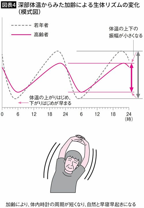 【図表4】深部体温からみた加齢による生体リズムの変化（模式図）