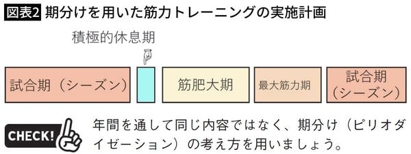 【図表2】期分けを用いた筋力トレーニングの実施計画