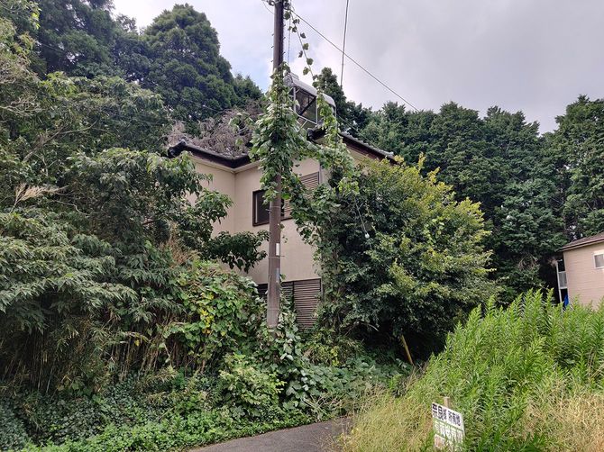 長年放置されているため、家屋だけでなく、電柱にまでツルが絡んでしまっている。（千葉県山武市横田）