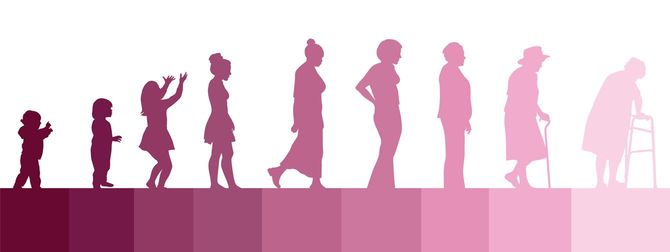 女性の生涯のベクトルイラスト