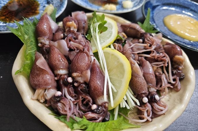 富山県産(左)と兵庫県産のホタルイカ(右)