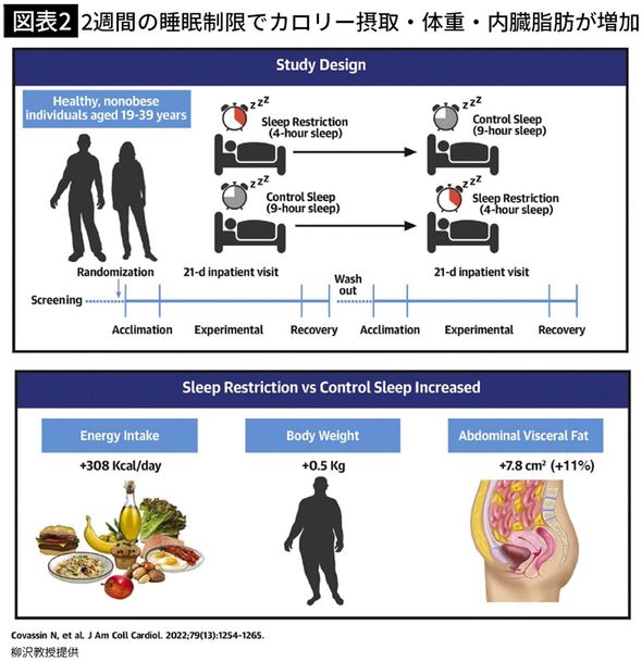 【図表2】2週間の睡眠制限でカロリー摂取・体重・内臓脂肪が増加