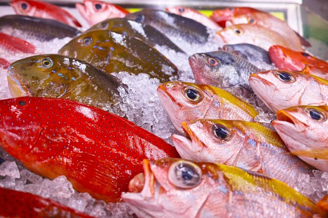 沖縄の魚介類