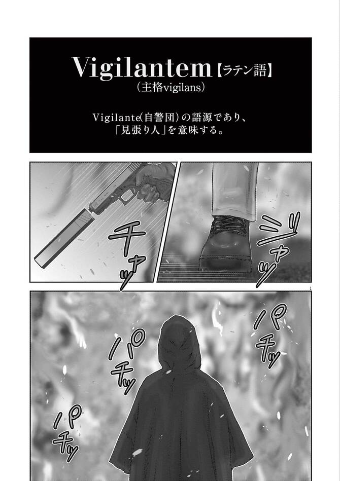 『ヴィジランテム』©新海つかさ／小学館