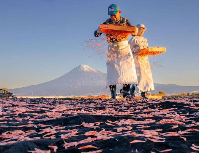 2026優秀賞「桜エビの天日干し」渡辺英基さん