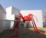 十和田現代美術館で常設展示されている椿昇の作品「aTTa」。