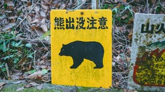東京はすでにクマに囲まれている…専門家が｢ここまで侵入する可能性がある｣と警鐘を鳴らす"要警戒エリア"