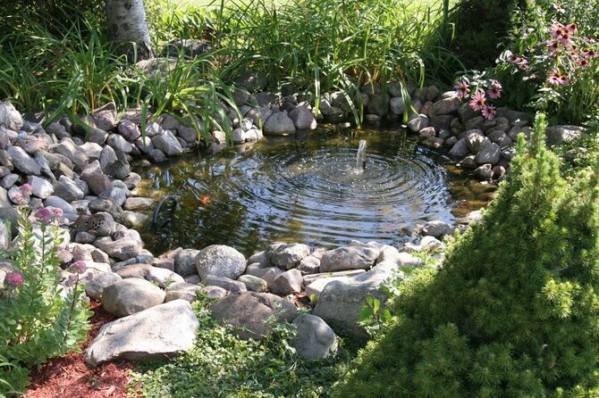 家庭の裏庭にある水生庭園