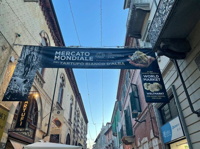 イタリア・ピエモンテ州の「世界アルバ白トリュフ市場」