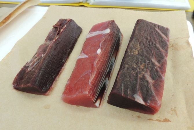 神奈川県三浦市の水産加工場で多く発生する血合い