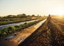 哲学者が田舎暮らしを熱狂的に勧めるワケ