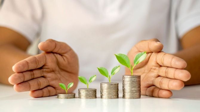 芽が出ている並んだコイン