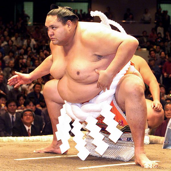 大相撲 優勝額 大関 もみ 曙 レア